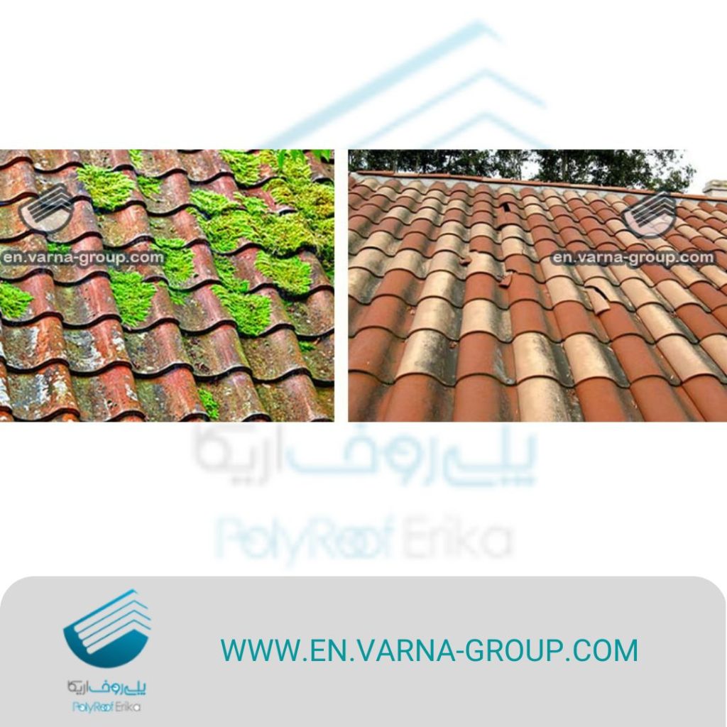 Clay Roof Tiles in Oman