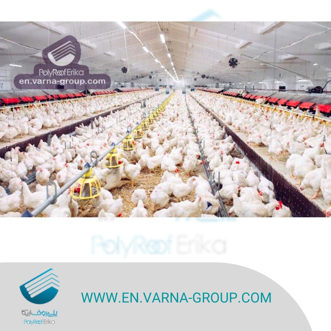 Poultry & livestock farms