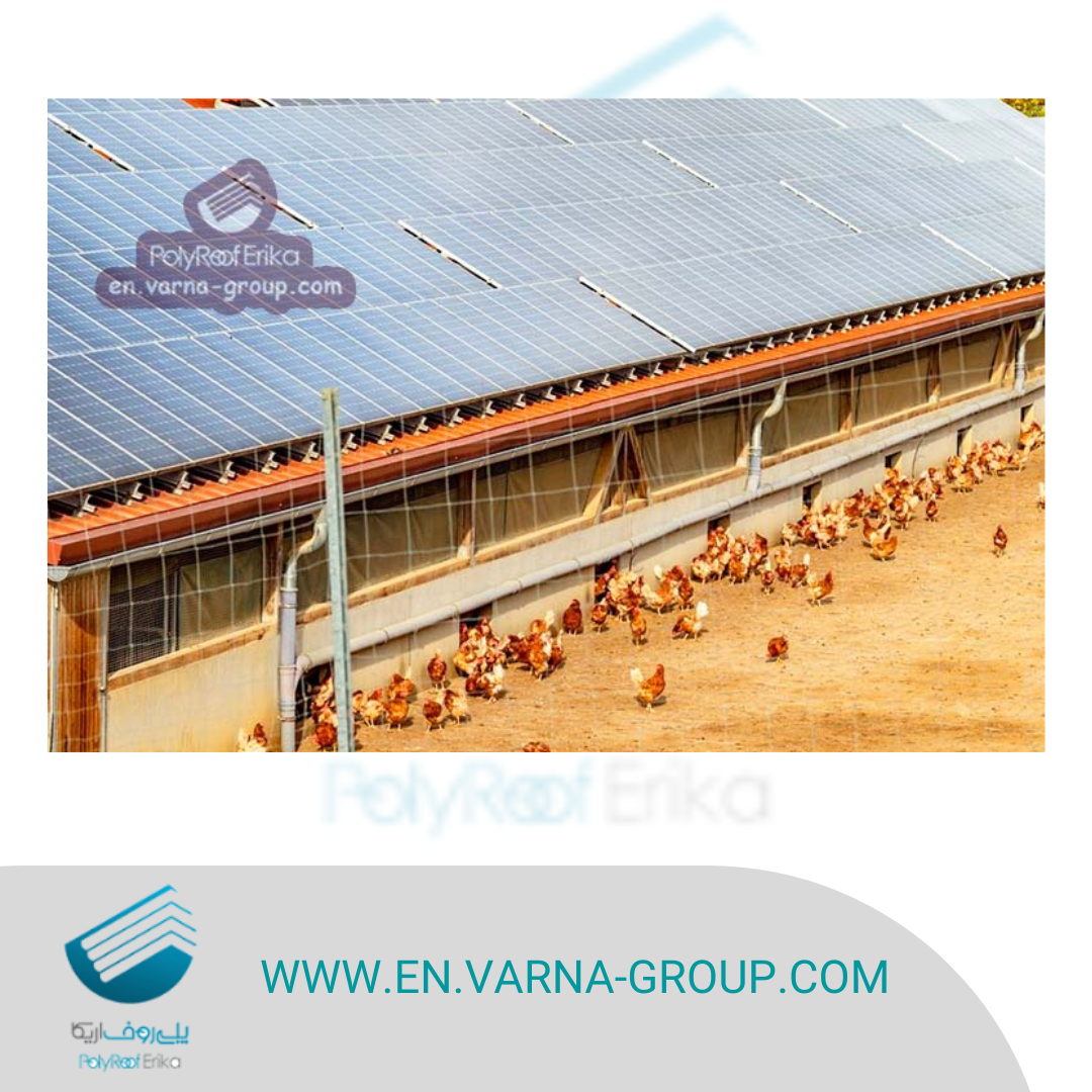 Is metal a safe roof shelter for poultry farm?