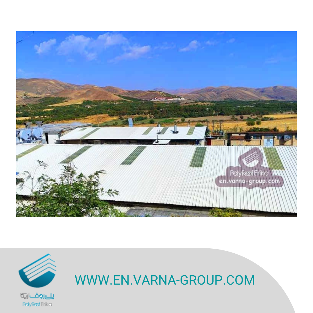 Sandwich panel industrial shed for chicken farms