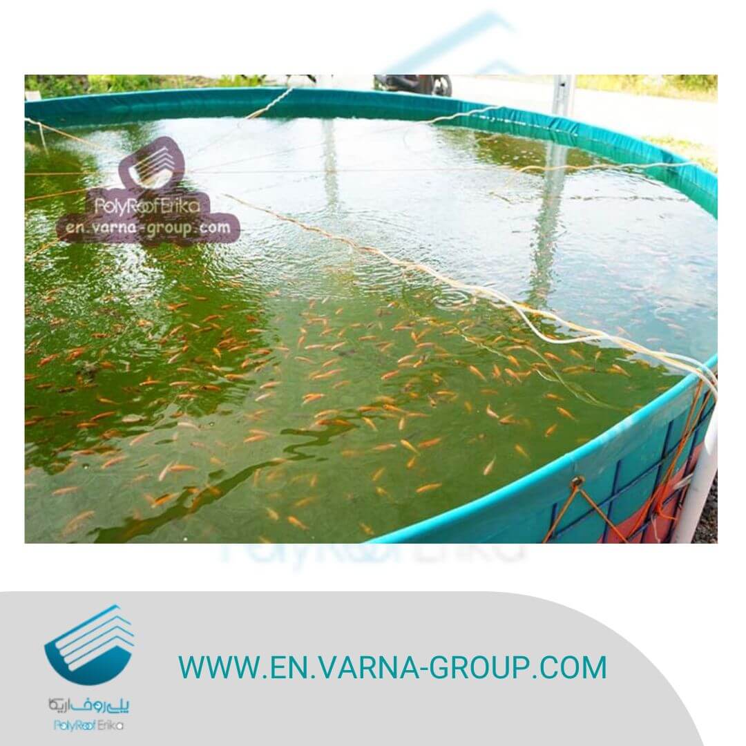 Other reasons why you need to choose the best roof material for your fish pond