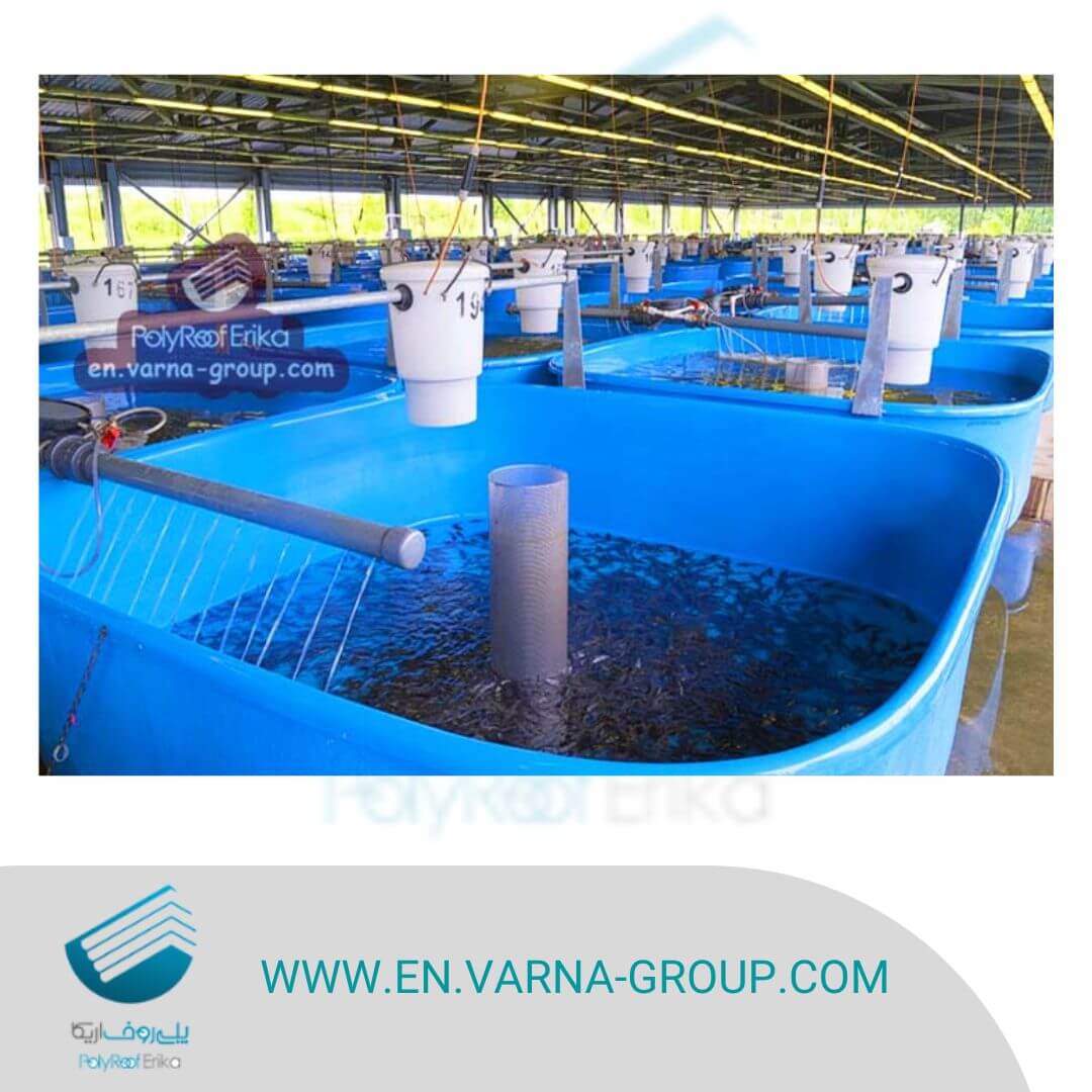 Importance of building a good roof material to prevent corrosion in fish pond industry