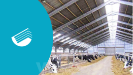 What roof is the best for your cattle shed and why?